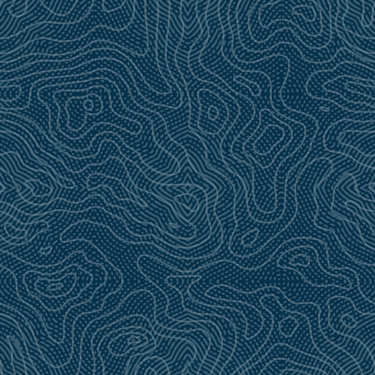 Blue and white repeating pattern composed of topographical map lines and anti-forgery markings used by engravers